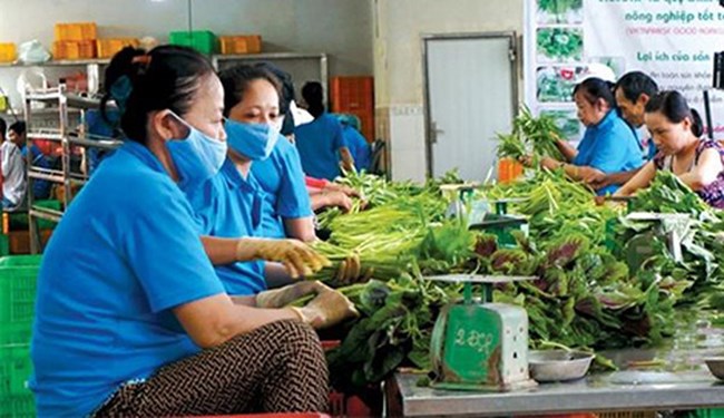 Khơi thông dòng vốn cho Hợp tác xã và kinh tế tư nhân (15/6/2018)